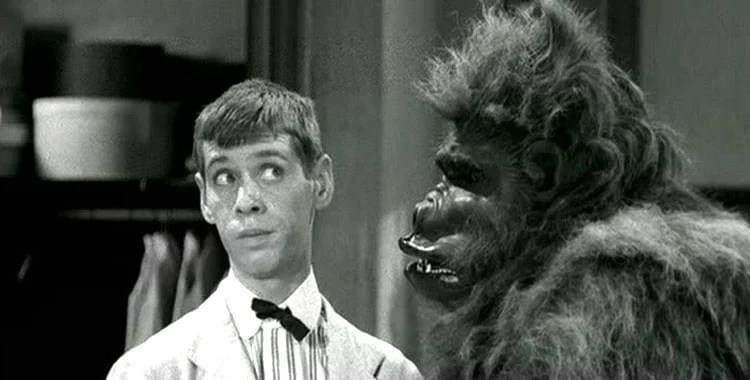 Le gorille de Brooklyn sur Drive In Movie Channel