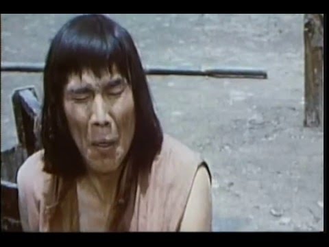 Le poing magnifique de Shaolin 1981 drive in movie channel