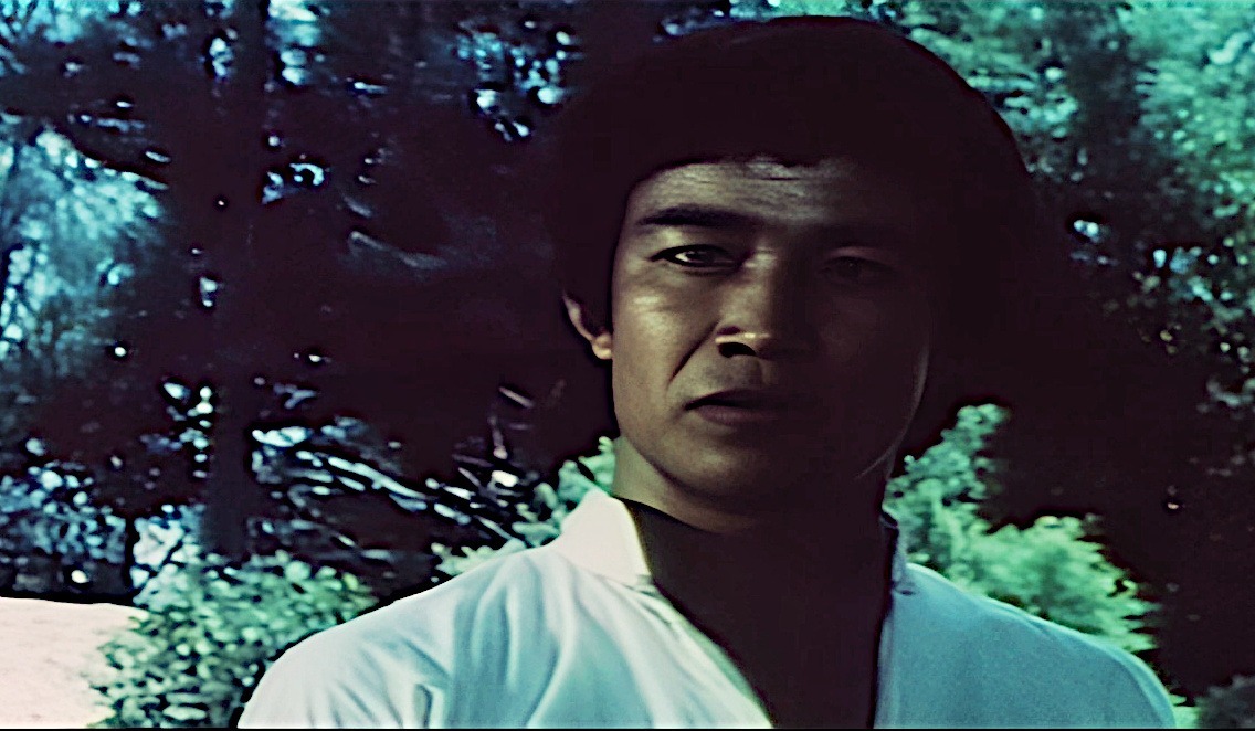 Shaolin contre les 8 serpents 1977 drive in movie channel